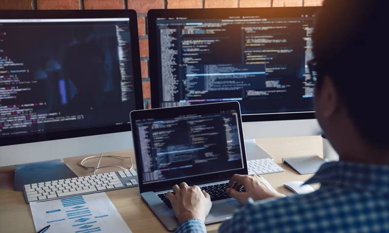 数据科学选型：R与Python如何赋能岳塘区网站建设？